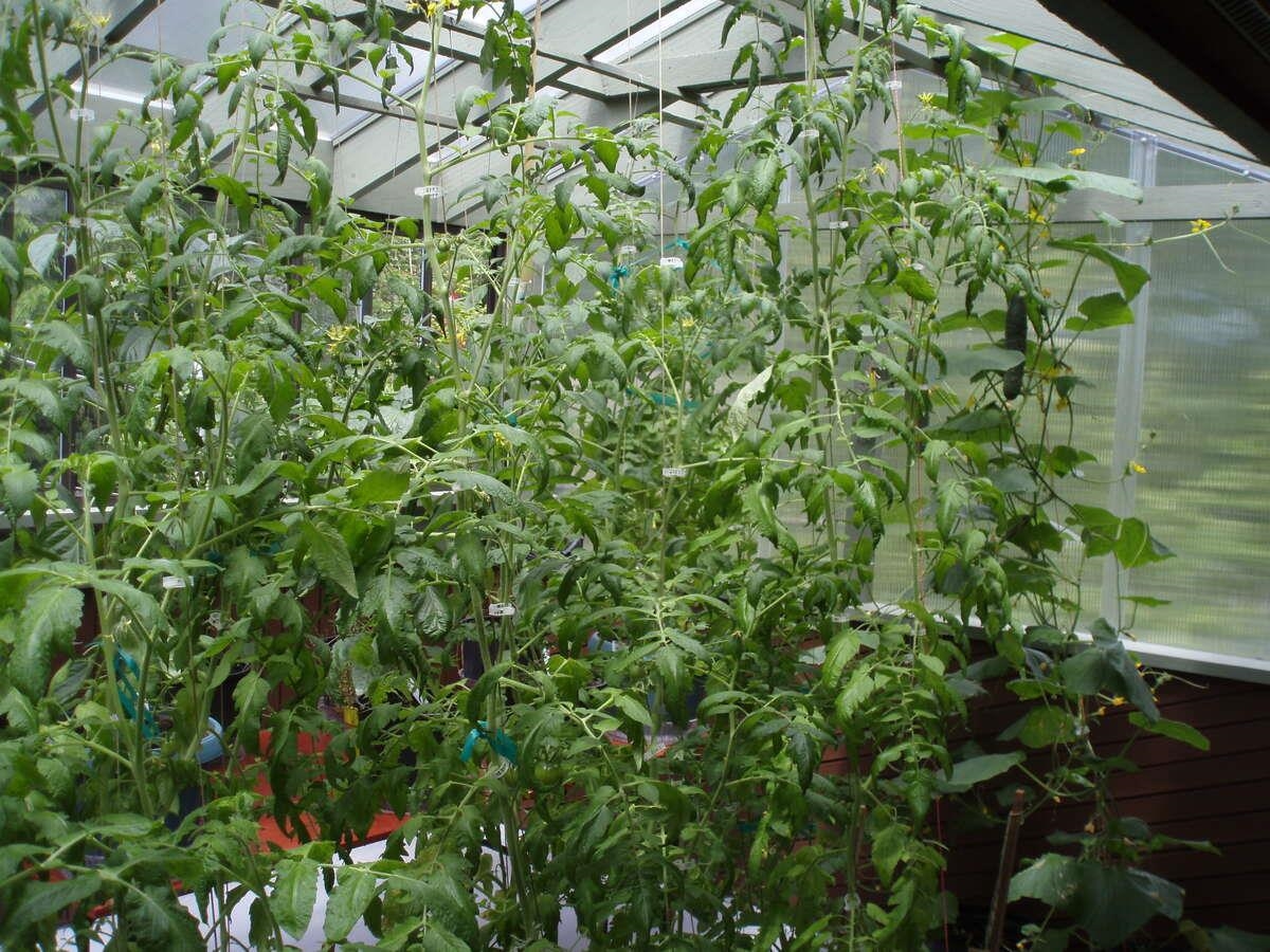 Playground / Recreational Area Near 1498 Chamberlain Drive, North Vancouver, BC