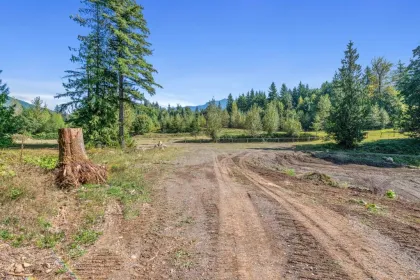 Backyard Photo of 1400 Maple Rock Drive, Columbia Valley, BC
