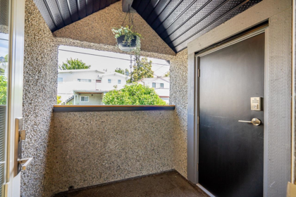 Front Yard Photo of 4438 Ontario Street, Vancouver, BC