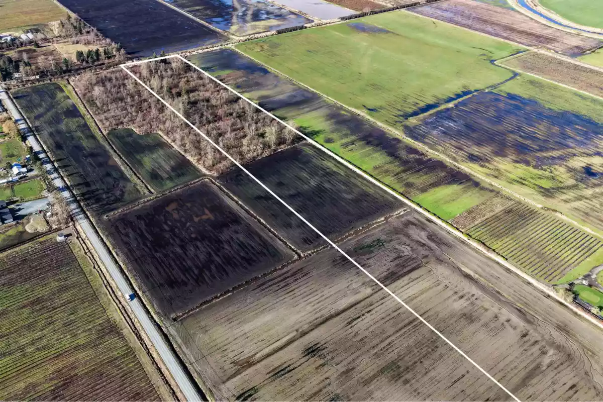 Pantry Photo of 4115 184 Street, Surrey, BC