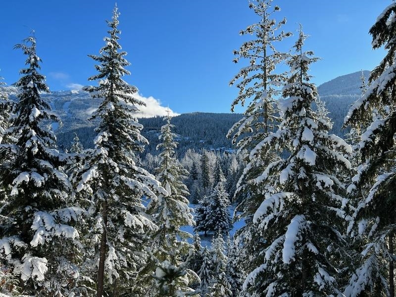 Hallway Photo of 101 3201 Blueberry Drive, Whistler, BC