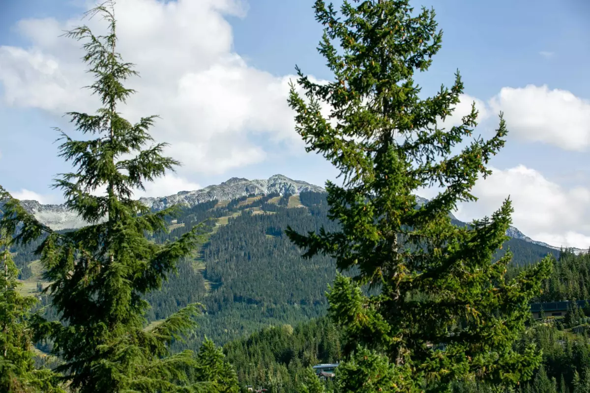 Laundry Room Photo of 101 3201 Blueberry Drive, Whistler, BC