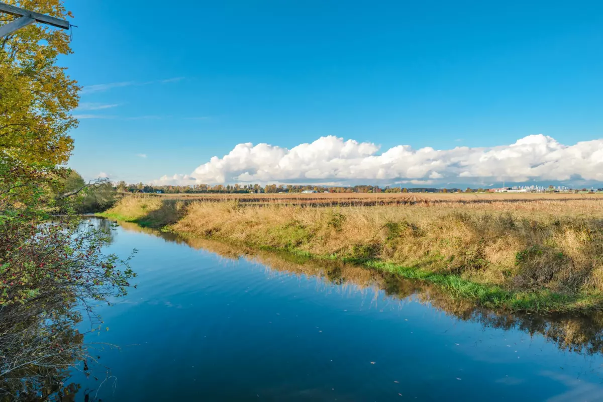 Aerial View of 5855 Crescent Drive, Delta, BC