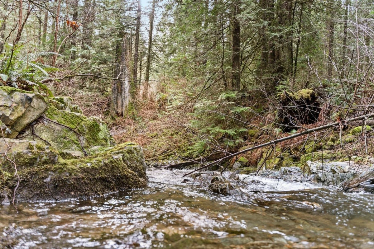 Pantry Photo of 32285 Silver Creek Drive, Mission, BC