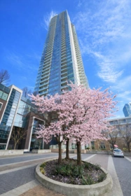 3808 6461 Telford Avenue, Burnaby, BC, Burnaby — Apartment/Condo for sale