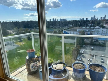 Outdoor Kitchen Photo of 1904 14820 104 Avenue, Surrey, BC