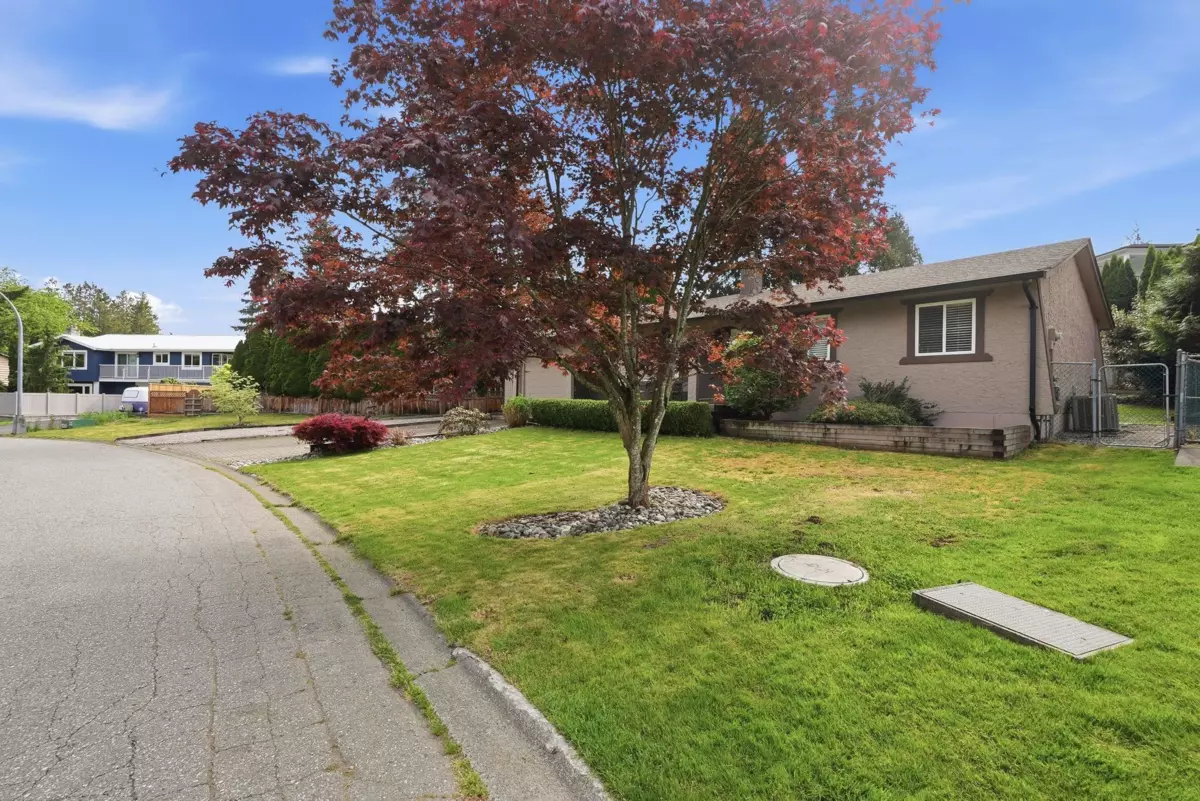 Family Room Photo of 4774 206a Street, Langley, BC