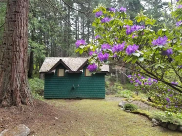Laundry Room Photo of 401 Shopland Road, Galiano Island, BC