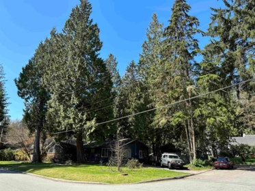 Neighborhood Park Photo Near 909 Seymour Boulevard, North Vancouver, BC
