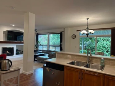 20850 84a Avenue, Langley, BC, Langley — Single Family Residence for sale