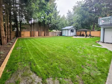 Staircase Photo of 20431 40B AVENUE, Langley BC V3A 5M4