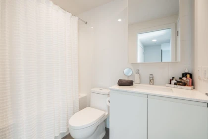 Powder Room Photo of 1510 3833 Evergreen Place, Burnaby, BC