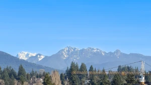 2006 570 Emerson Street, Coquitlam, BC