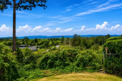 Aerial View of 11880 Clark Drive, Delta, BC