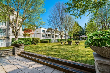 Swimming Pool Photo of 234 8880 Jones Road, Richmond, BC