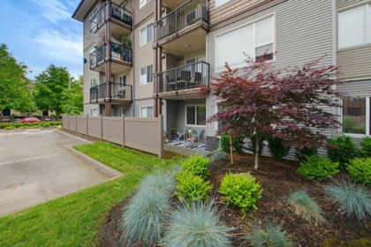 Garden / Landscaping Photo of 104 2581 Langdon Street, Abbotsford, BC