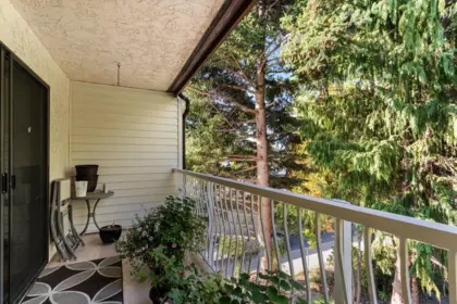 Kitchen Photo of 301 12890 17 Avenue, Surrey, BC