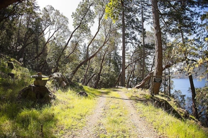 206 Narrows West Road, Salt Spring Island, BC, Salt Spring Island —  bed land for sale