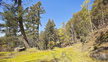Outdoor Patio Photo of 206 Narrows West Road, Salt Spring Island, BC