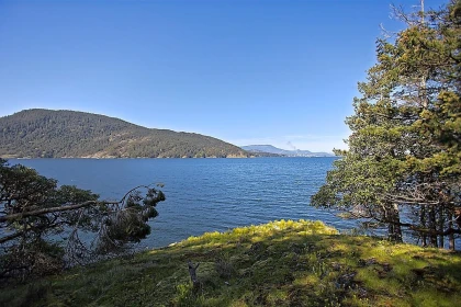 Primary Bedroom Photo of 206 Narrows West Road, Salt Spring Island, BC