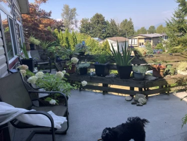 3470 Juniper Crescent, Abbotsford, BC, Abbotsford — Single Family Residence for sale