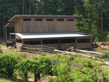 Backyard Photo of 2236 Mountain Road, Gambier Island, BC