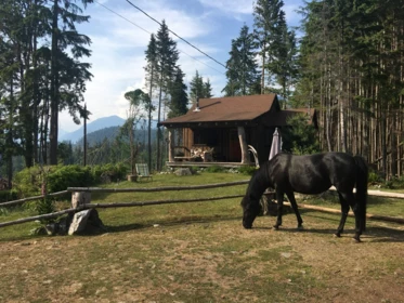 Street View Photo of 2236 Mountain Road, Gambier Island, BC