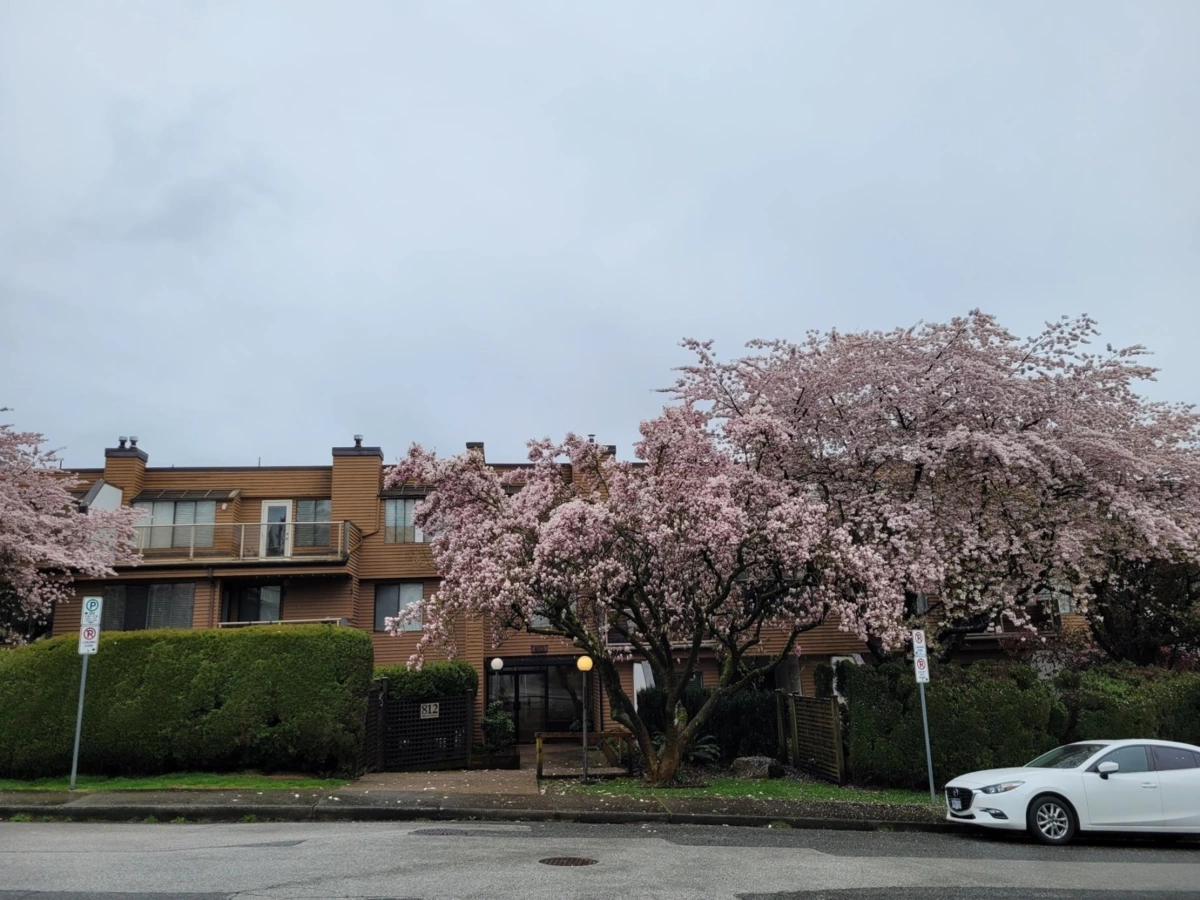 Basement Recreation Room Photo of 114 812 Milton Street, New Westminster, BC