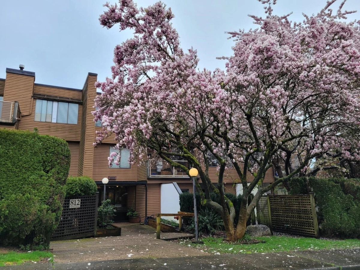 Laundry Room Photo of 114 812 Milton Street, New Westminster, BC
