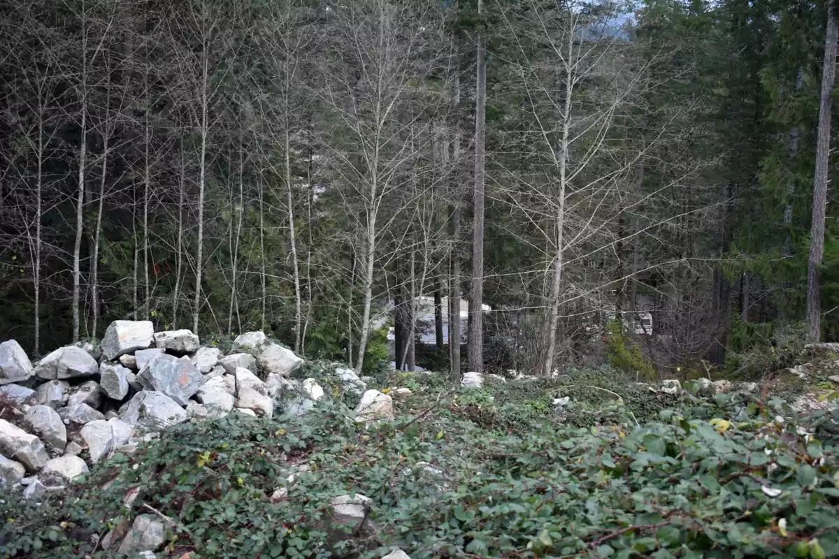 Family Room Photo of 6 4622 Sinclair Bay Road, Pender Harbour, BC