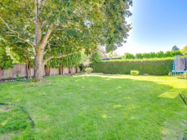 Front Yard Photo of 14084 17b Avenue, Surrey, BC