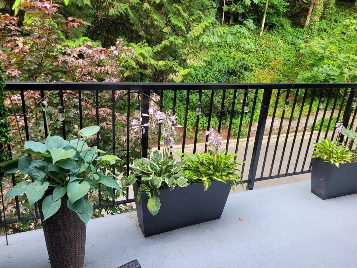 Powder Room Photo of 17 19696 Hammond Road, Pitt Meadows, BC