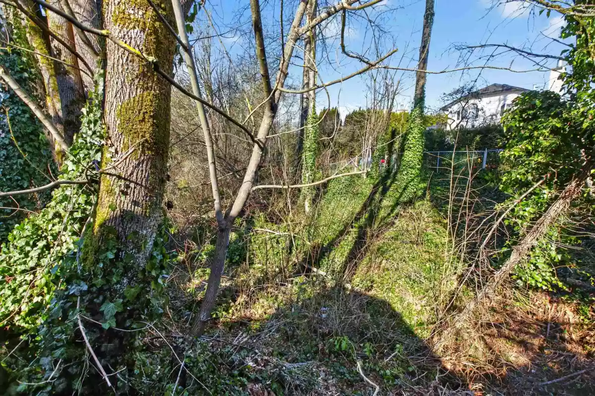 Fitness Center Photo Near 22475 Streng Avenue, Maple Ridge, BC