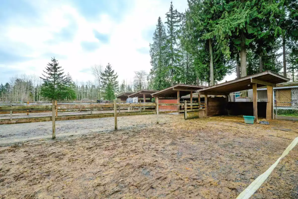 Aerial View of 1734 196 Street, Langley, BC