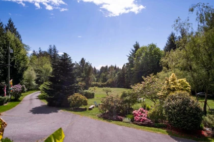 Backyard Photo of 2556 Lower Road, Roberts Creek, BC