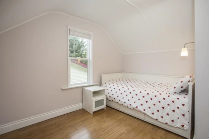 Loft / Bonus Room Photo of 432 Richmond Street, New Westminster, BC