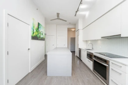 Walk-In Closet Photo of 309 668 Columbia Street, New Westminster, BC