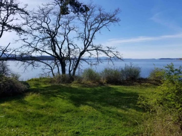 Backyard Photo of 495 Deacon Lane, Galiano Island, BC