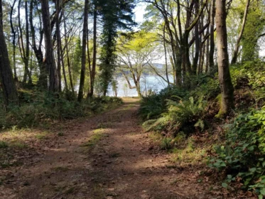 Garden / Landscaping Photo of 495 Deacon Lane, Galiano Island, BC
