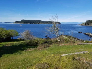 Swimming Pool Photo of 495 Deacon Lane, Galiano Island, BC