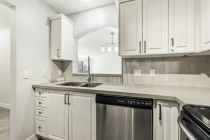 Basement Recreation Room Photo of 310 2970 Princess Crescent, Coquitlam, BC