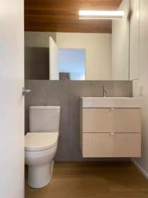 Powder Room Photo of KP4 1400 Alta Lake Road, Whistler, BC