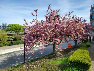 Street View Photo of 103 1470 Pennyfarthing Drive, Vancouver, BC