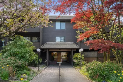 Swimming Pool Photo of 209 1720 W 12th Avenue, Vancouver, BC