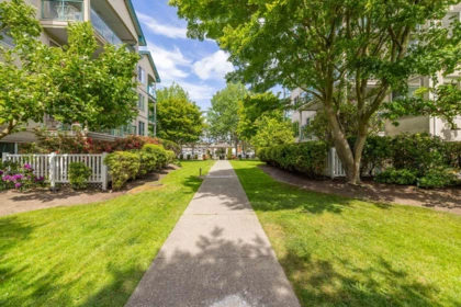 Front Yard Photo of 104 20433 53 Avenue, Langley, BC