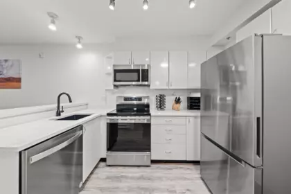 316 528 Rochester Avenue, Coquitlam, BC, Coquitlam — Apartment/Condo for sale