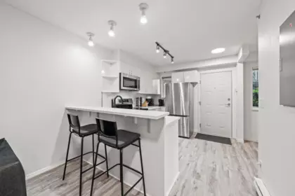 316 528 Rochester Avenue, Coquitlam, BC, Coquitlam — Apartment/Condo for sale