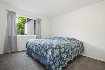 Aerial View of 8219 Fujino Street, Mission, BC