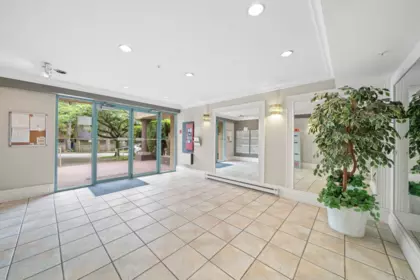 Entry Foyer Photo of 305 1009 Howay Street, New Westminster, BC