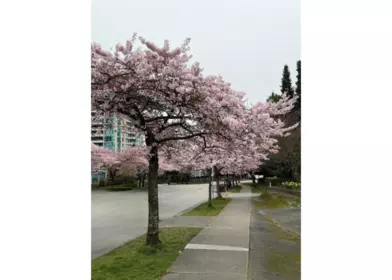13 6577 Southoaks Crescent, Burnaby, BC, Burnaby — Townhouse for sale